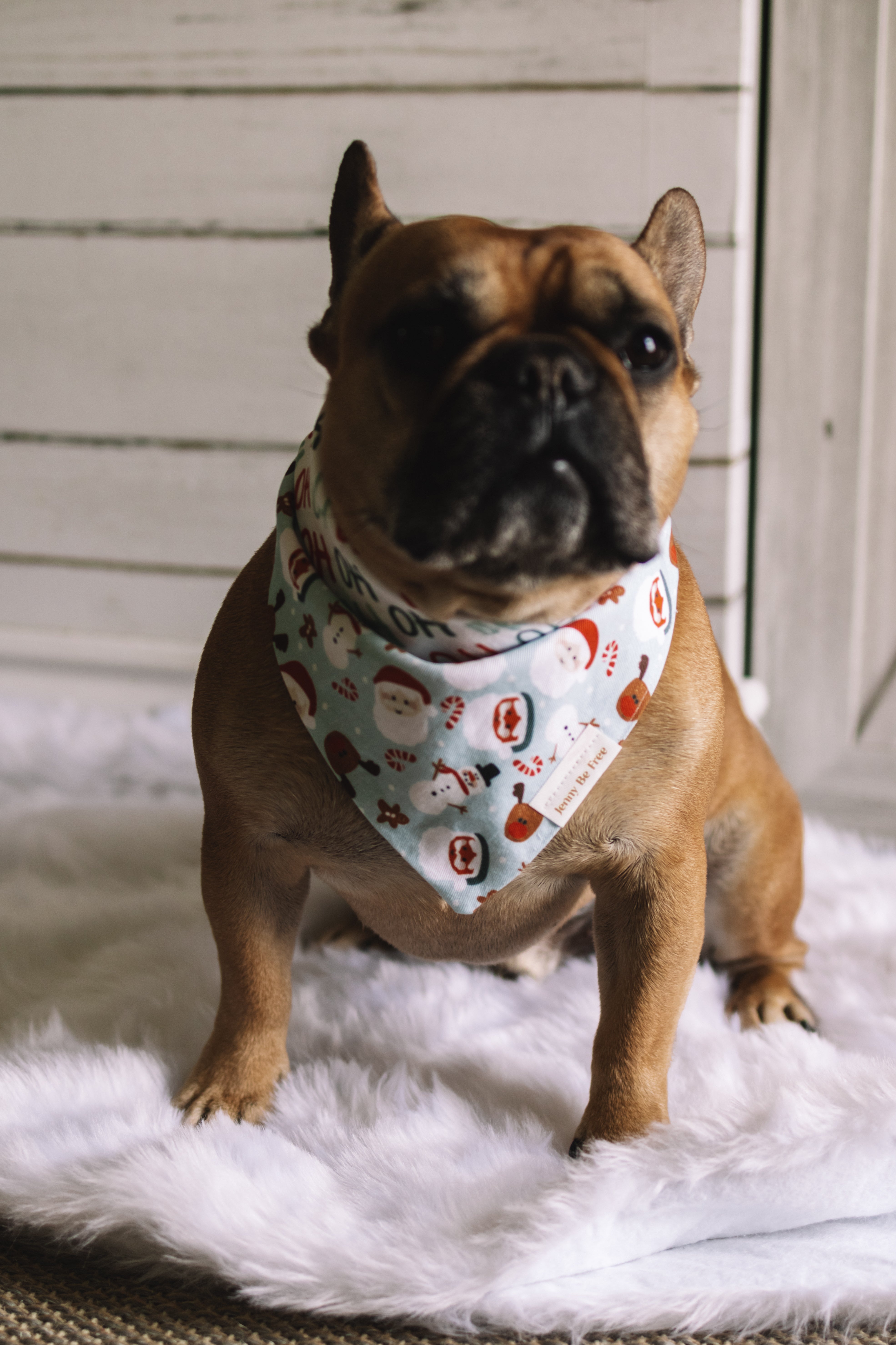 Dog Bandana: Hoho!
