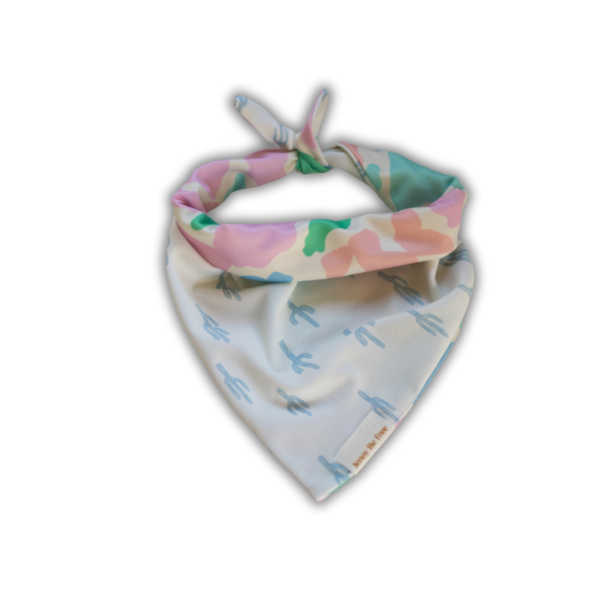 colourful cactus hyde