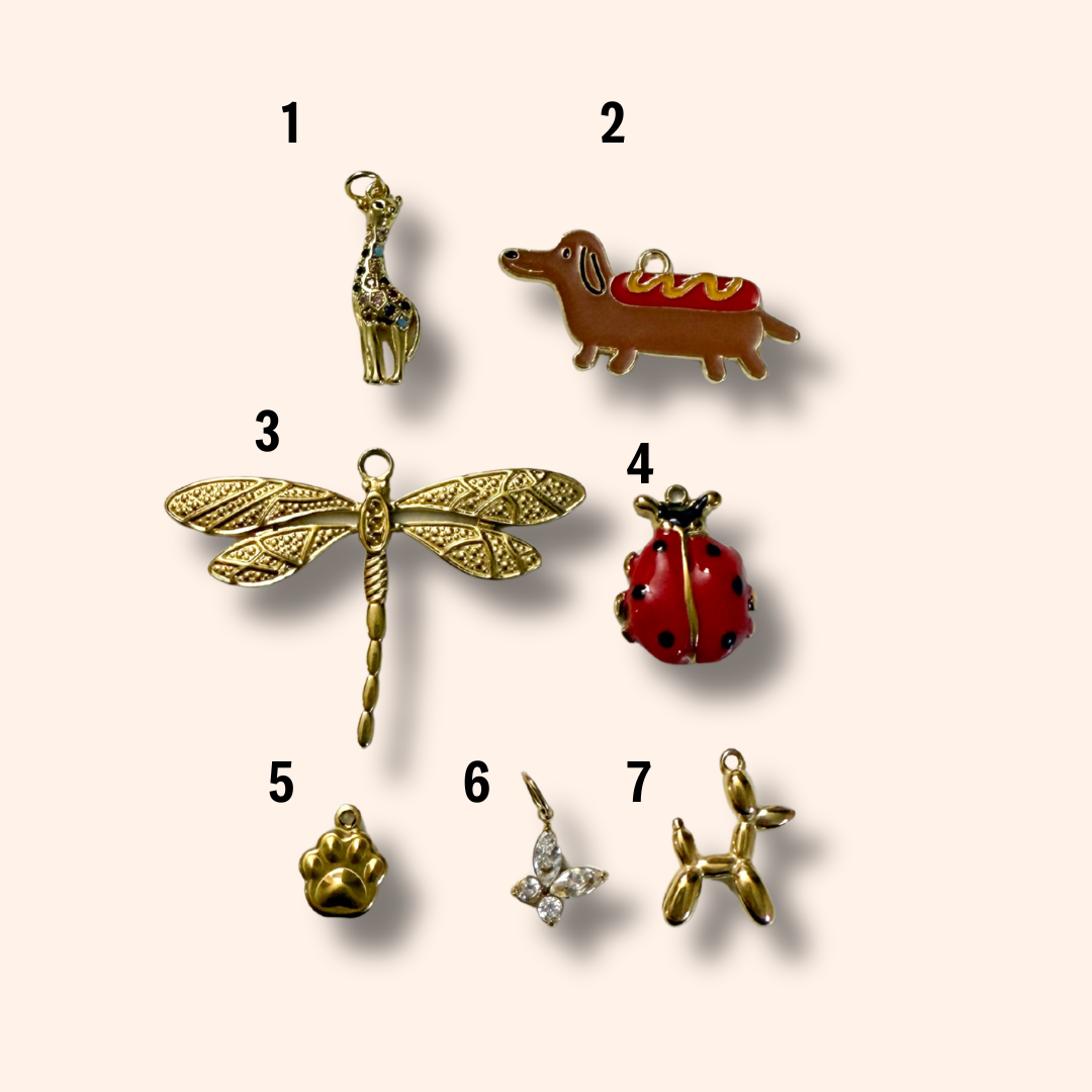 Collection of various small charms on a beige background