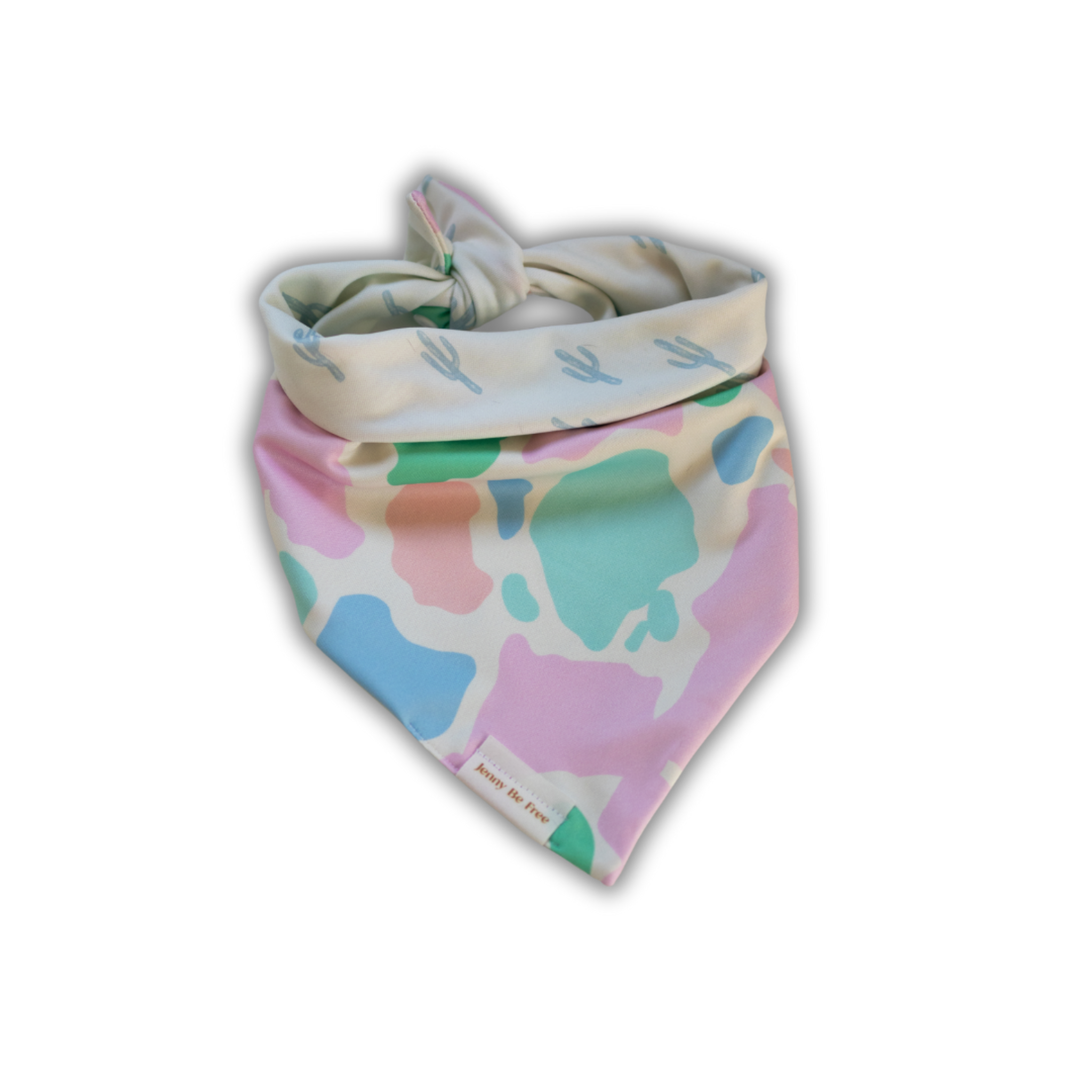 colourful cactus hyde