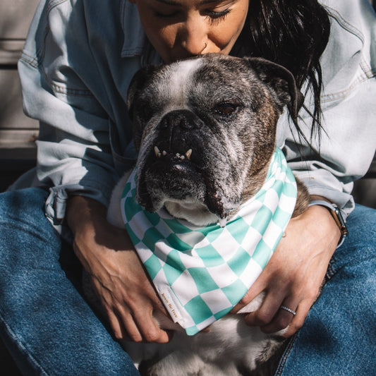 the happy go lucky scrunchie bandana